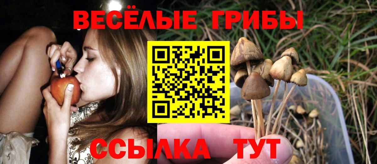 Ухта  Галлюциногенные грибы прущие грибы  Вход с VPN 