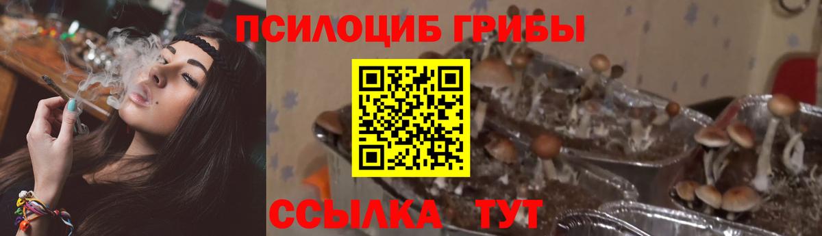 Псилоцибиновые грибы мухоморы Ухта